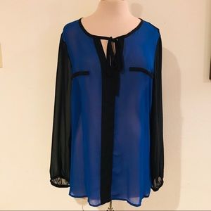 Sheer A.N.A. Blouse